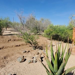 Meet your Posher, Tim